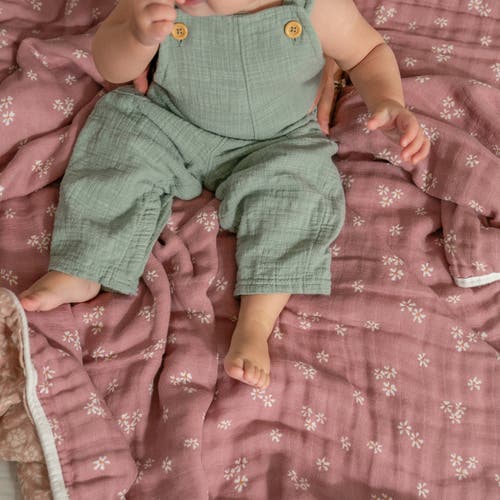 Aden + Anais Organic Dream Blanket In Pink