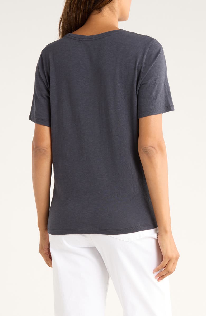 Eileen Fisher Easy V-Neck Organic Cotton T-Shirt, Alternate, color,