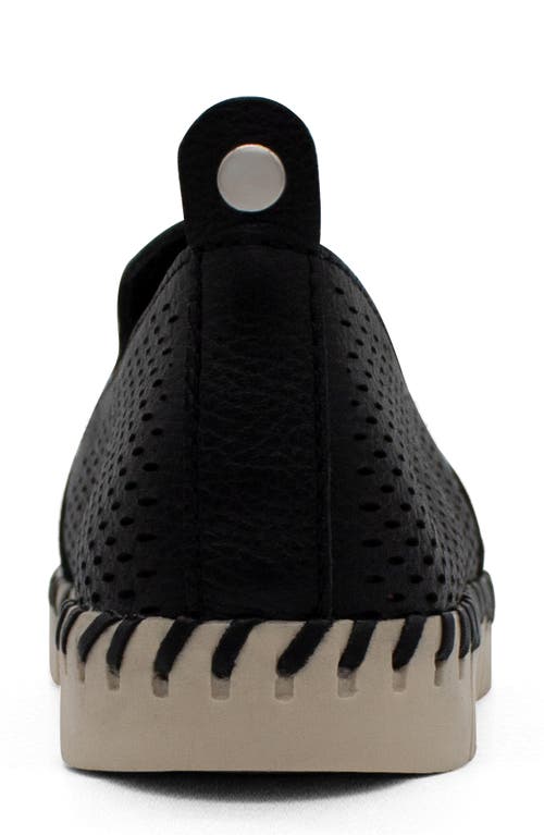 Bottero Bottwister Verao Slip-on Sneaker