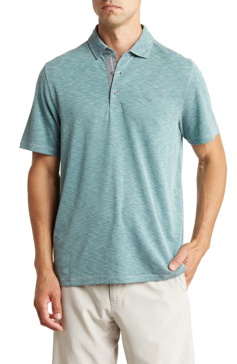 Paradiso Polo
