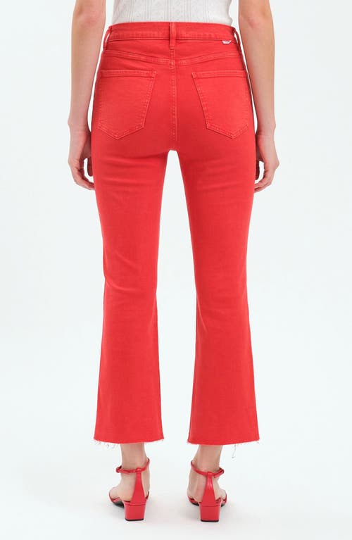 Daze Shy Girl High Waist Raw Hem Crop Flare Jeans In Cherry