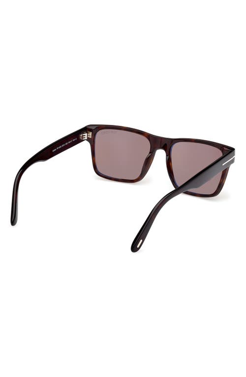 Tom Ford Calder 55mm Square Sunglasses In Shiny Dark Havana Eco