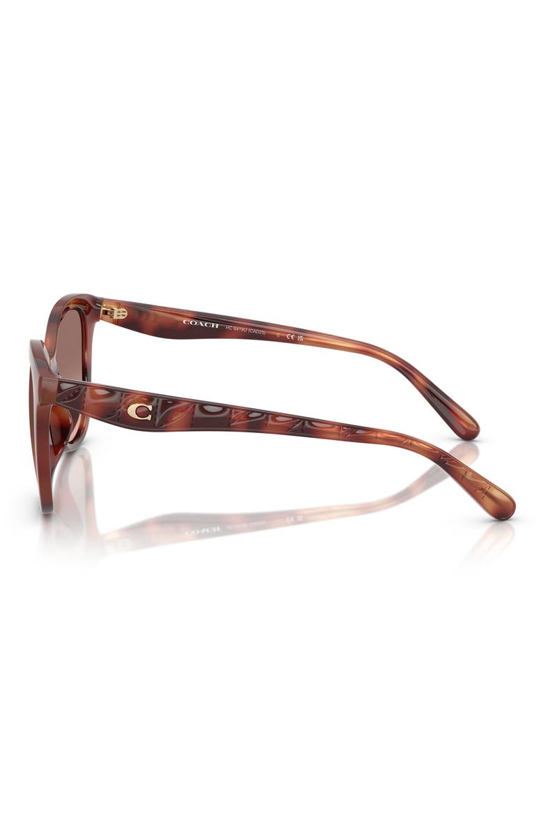 55mm Square Sunglasses, Alternate, color, CARAMEL TORTOISE / BROWN PINK