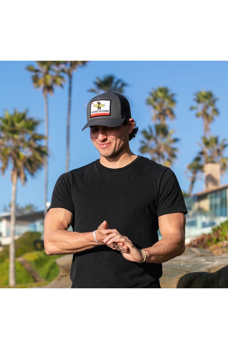 Everyday California Shores Snapback Hat, Alternate, color, Charcoal