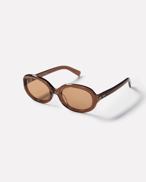 Epokhe Super Star Sunglasses In Brown