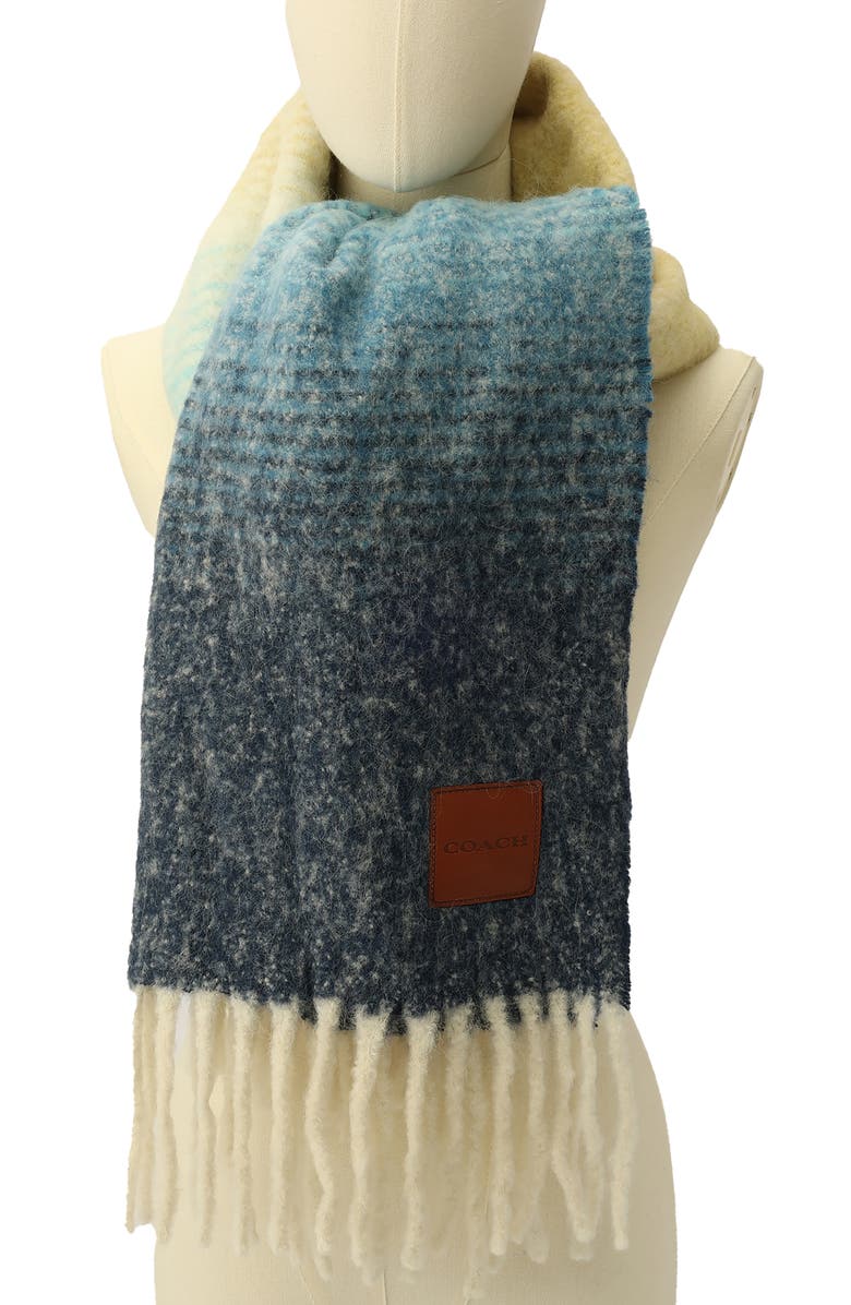 COACH Alpaca Blend Ombré Muff Scarf, Alternate, color, Navy Multi