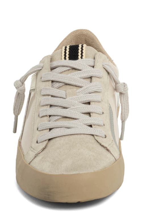 Shushop Robbie Lace-up Sneaker In Brown
