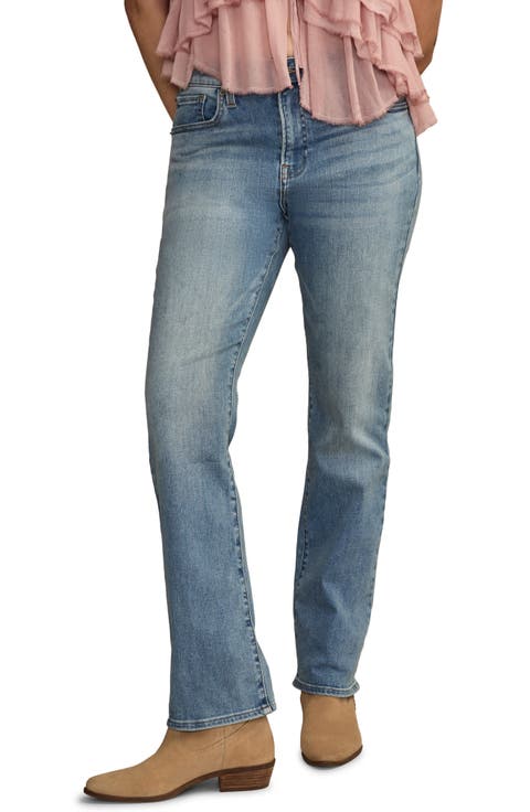 Curvy High Waist Straight Leg Jeans (Wanderer)