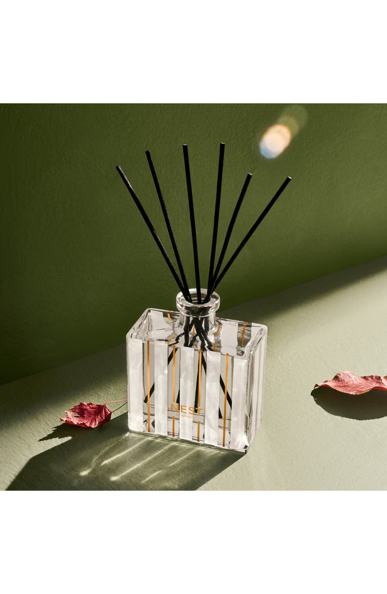 NEST New York Autumn Plum Reed Diffuser, Alternate, color, 
