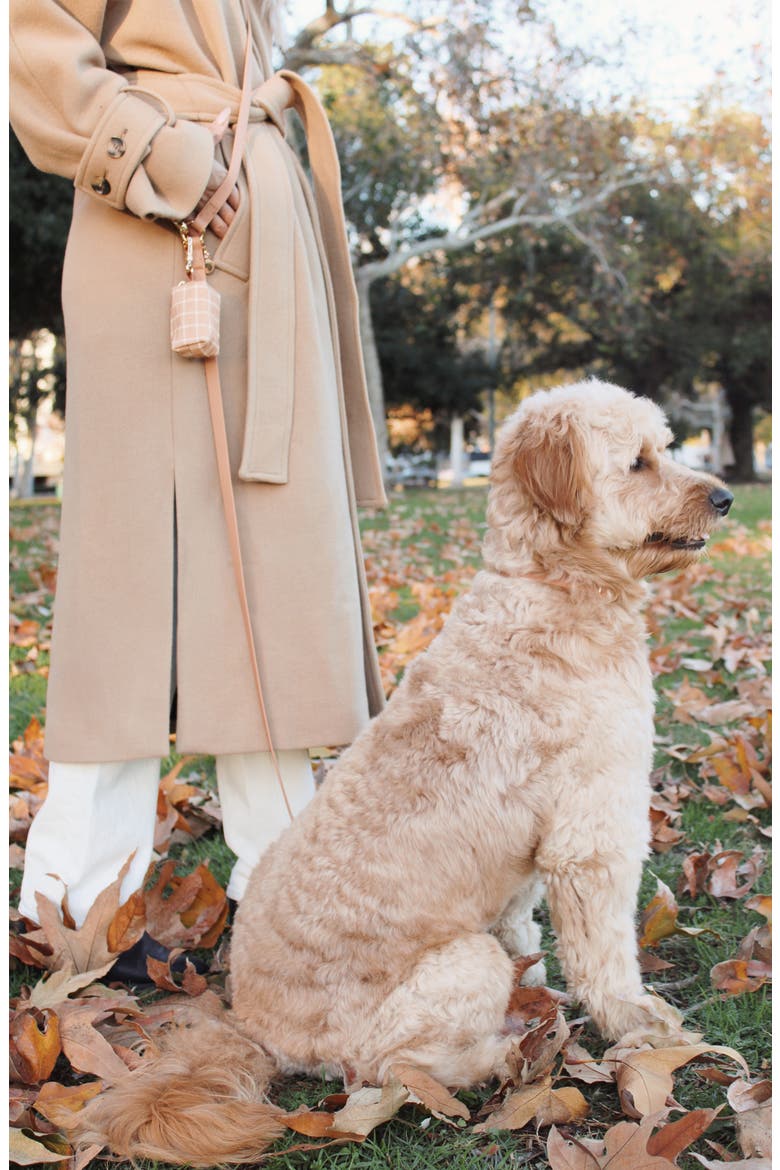 Cloud Waterproof Dog Collar, Alternate, color, CHAI BROWN