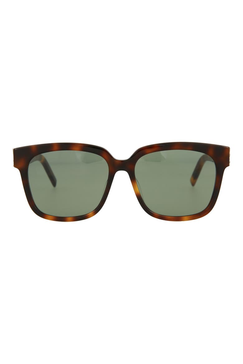 55mm Square Sunglasses, Main, color, HAVANA HAVANA GREEN