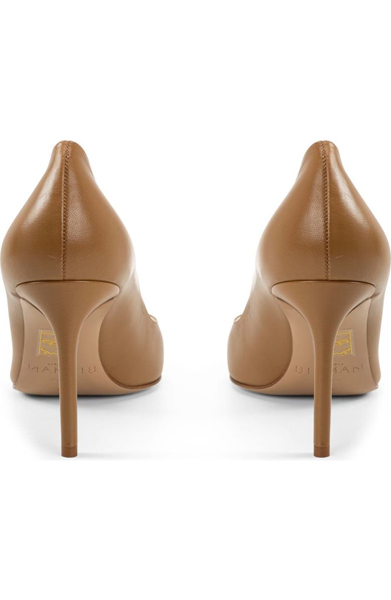 Alexandre Birman Pamela Pointed Toe Pump, Alternate, color,