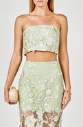 Endless Rose Floral Embroidered Strapless Crop Top