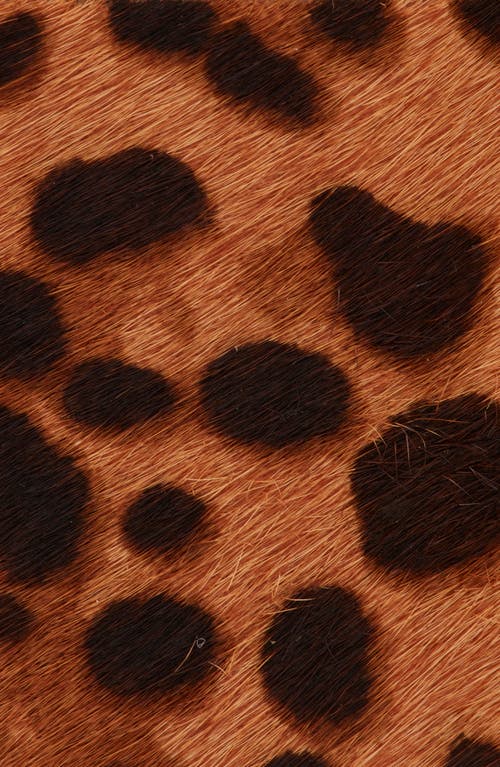 Nordstrom Daphne Genuine Calf Hair Belt In Brown