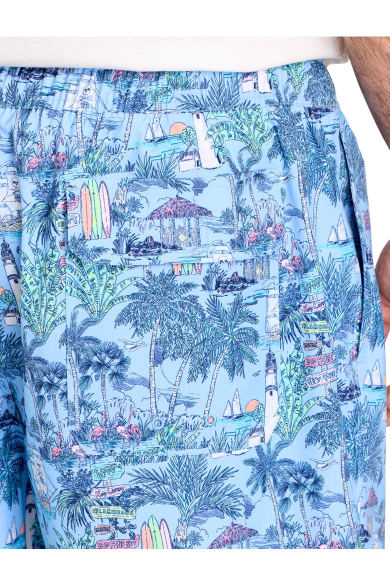 Big & Tall Scenic Chappy Swim Trunks, Alternate, color, KEYS TOUCAN