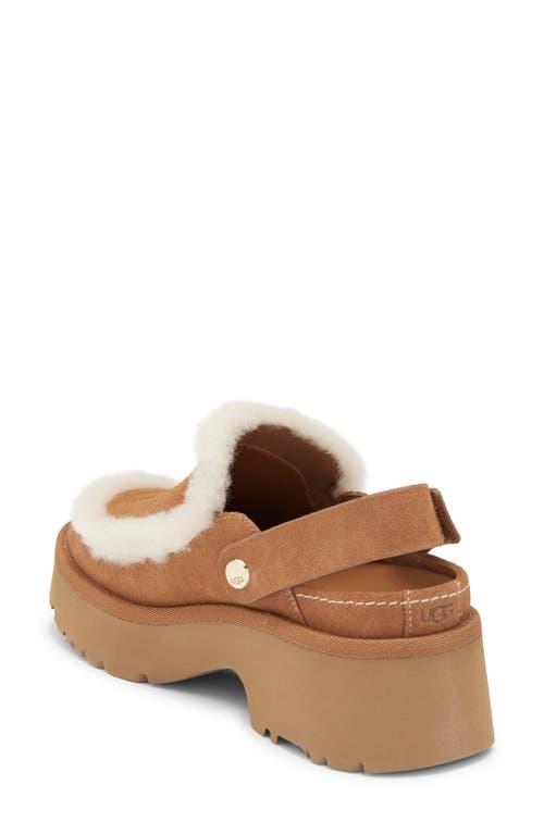 Ugg(r) Esmee Genuine Shearling Clog In Brown