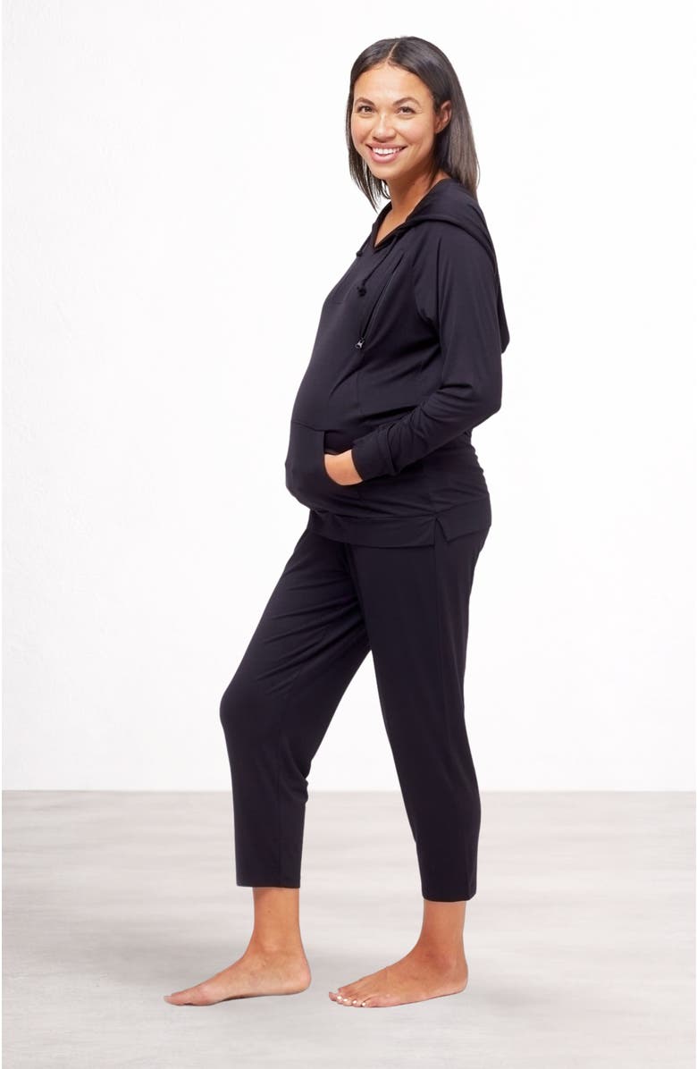 Nom Maternity Simone Maternity & Nursing Soft Hoodie, Alternate, color, Black