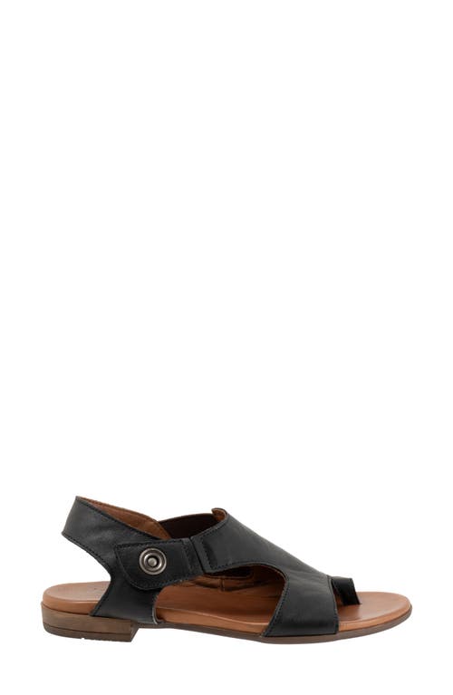Bueno Tessie Toe Loop Sandal In Black