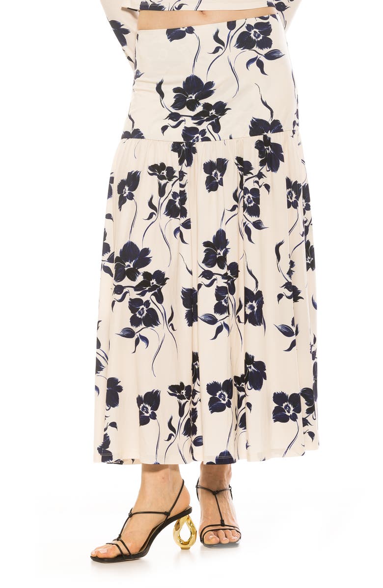 Alexia Admor Lia Low Rise Maxi Skirt, Alternate, color, Blue Floral