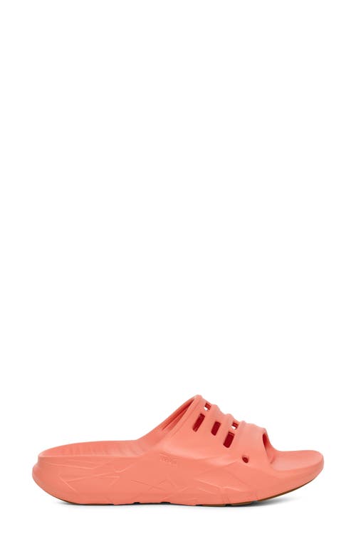 Teva Apretrail Slide Sandal In Blooming Dahlia