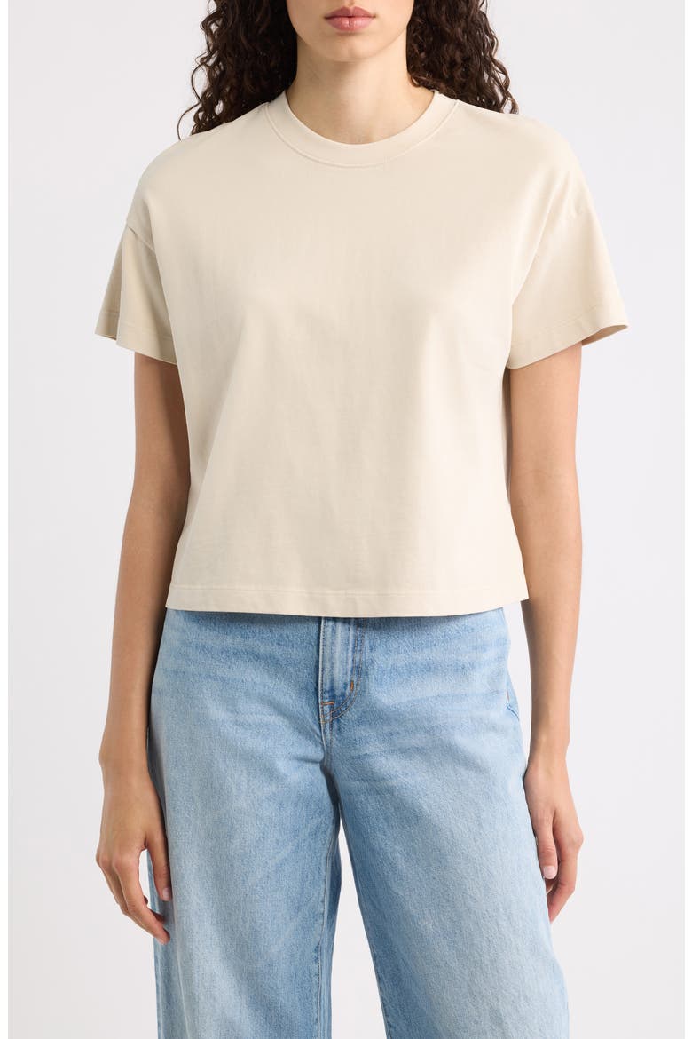 Luxe Cotton Blend Jersery Crewneck T-Shirt, Main, color, WHITECAP
