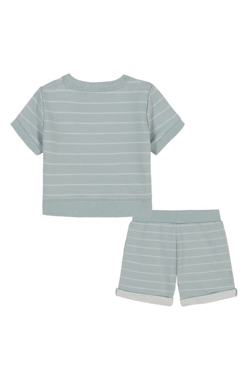 Calvin Klein Baby Boys 2-piece Striped French Terry Short Sleeve Crewneck And Shorts Set In Gray