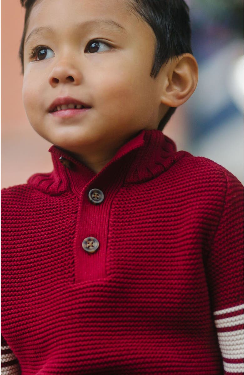 Hope & Henry Baby Boys' Organic Mock Neck Kanga Sweater, Infant, Alternate, color, Dark Red With Sleeve Stripes