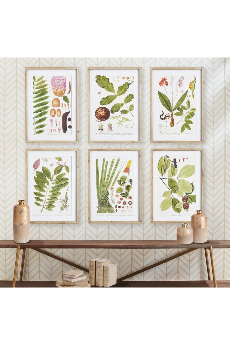 Leaf Botanical Study Set of 6, Alternate, color, Green
