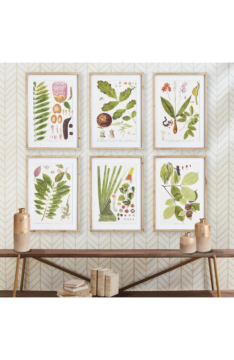 Napa Home & Garden Leaf Botanical Study Set of 6, Alternate, color, 