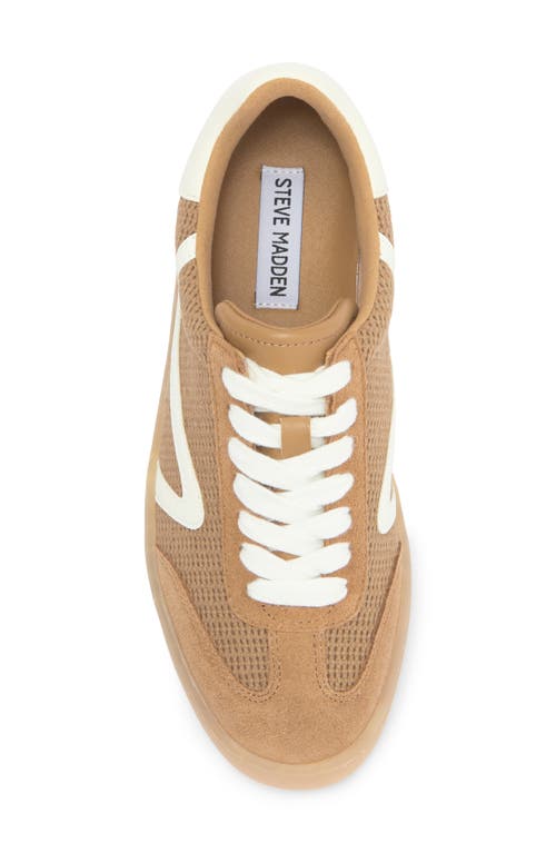 Steve Madden Reformer Sneaker In Tan