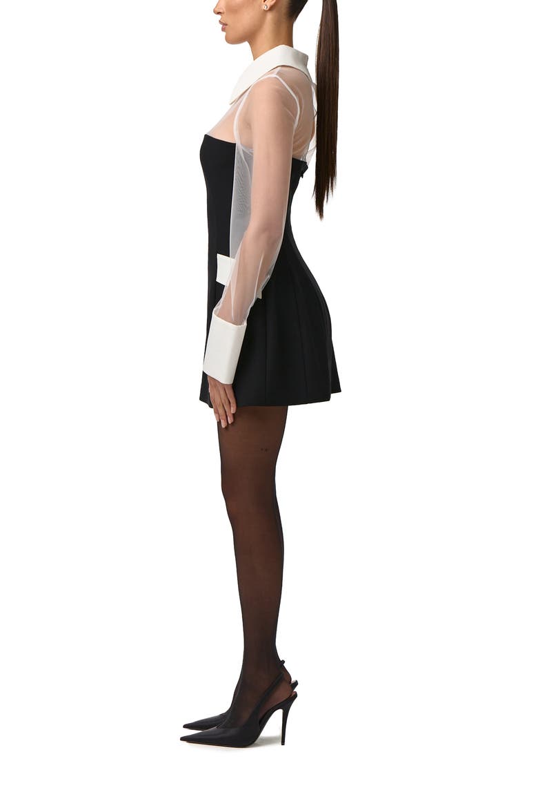Sheer Panel Long Sleeve Minidress, Alternate, color, BLACK/ WHITE