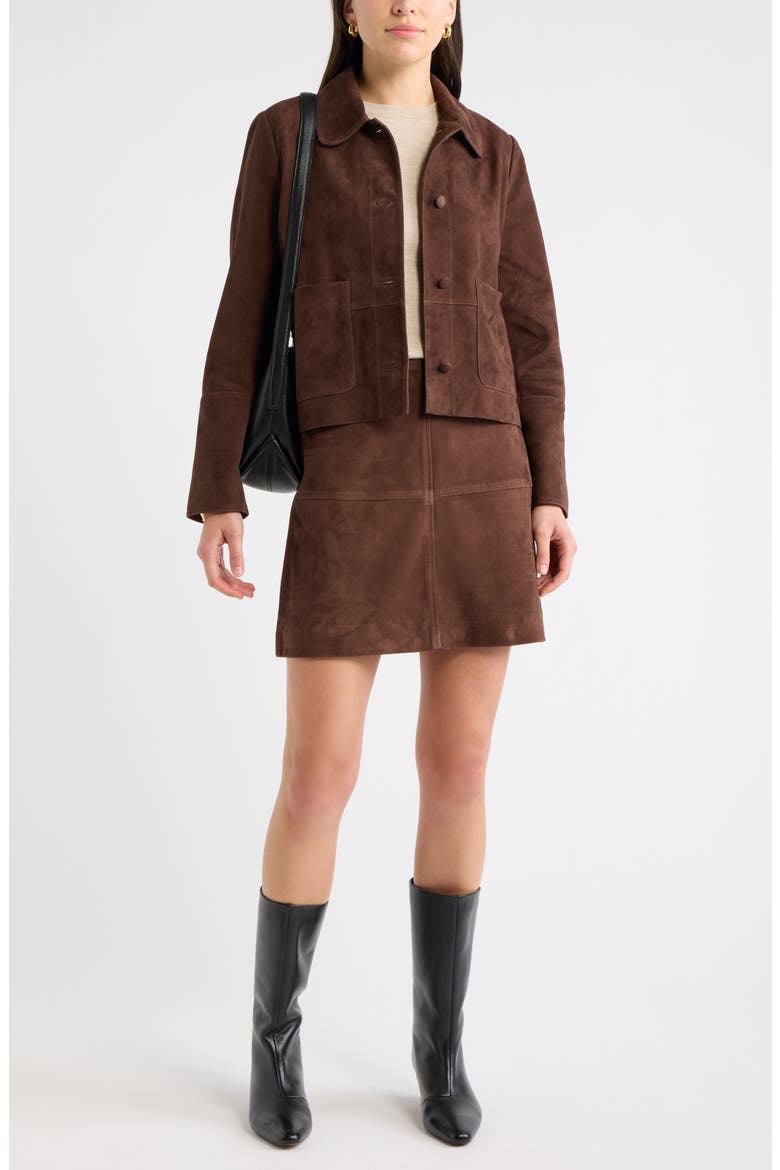 Suede Leather Jacket, Alternate, color, BROWN CHICORY