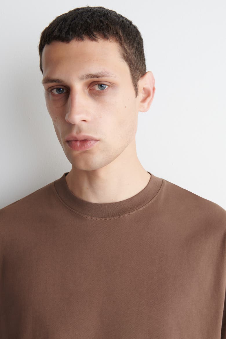 Relaxed Lightweight Cotton T-shirt, Alternate, color, LIGHT BROWN