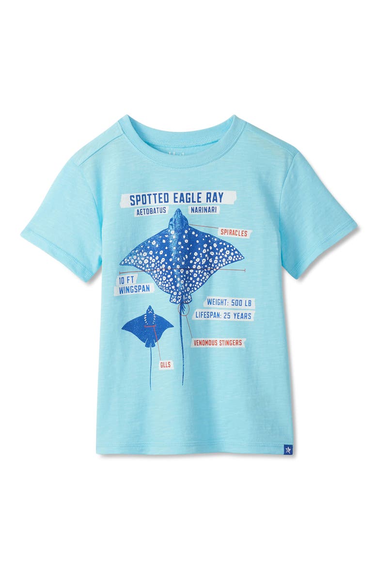 Kids' Stingray Cotton Graphic T-Shirt, Main, color, GULF STREAM