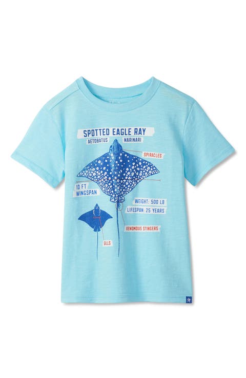 Kids' Stingray Cotton Graphic T-Shirt (Toddler)
