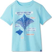 Hatley Kids' Stingray Cotton Graphic T-Shirt