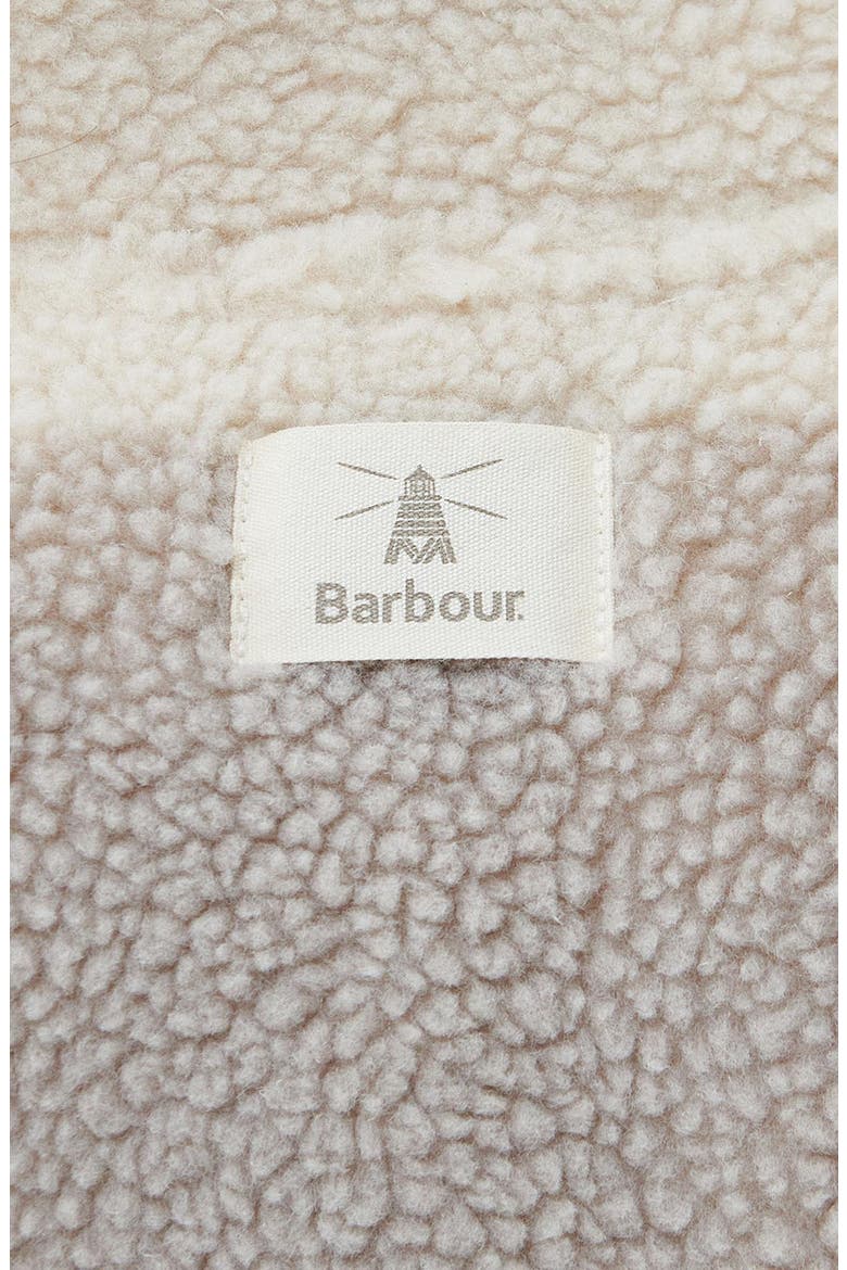 Lichen Overlayer Polar Fleece Recycled Polyester Jacket, Alternate, color, BEIGE MULTI