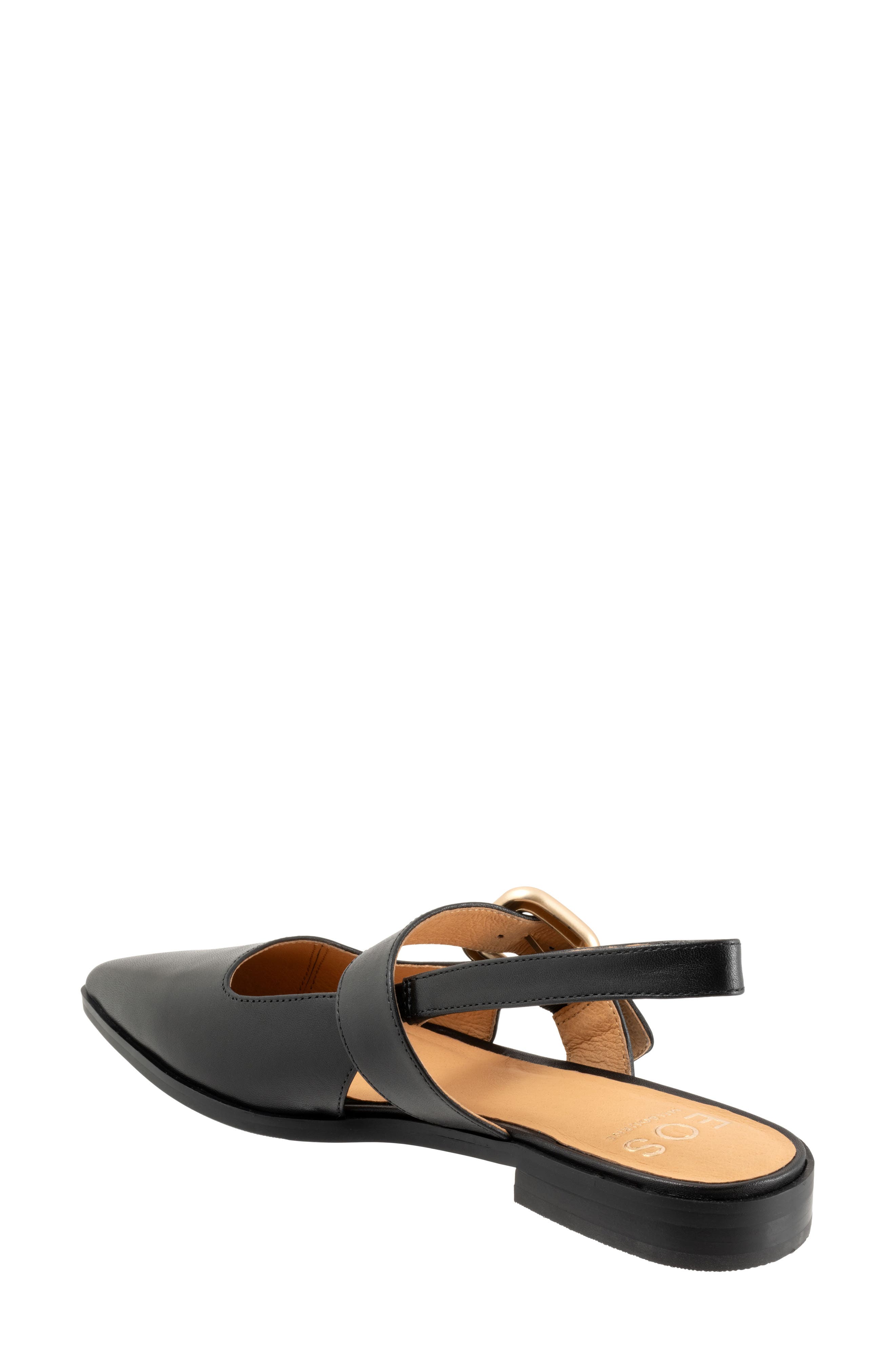 Goldie Pointed Toe Slingback Flat, Alternate, color, BLACK