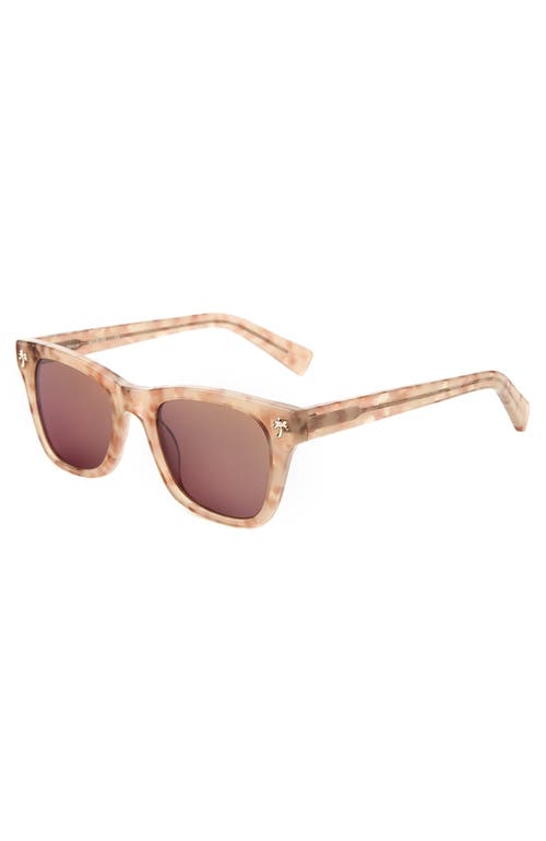 Lyndon Eyewear Hibiscus Sunglasses In Multi