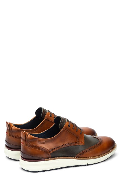 Pikolinos Manacor Wingtip Oxford In Brown