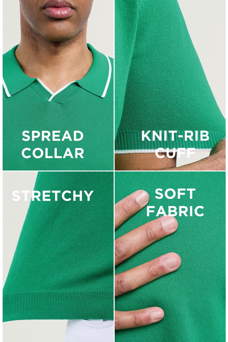 V-Neck Polo Sweater, Alternate, color, SAGE