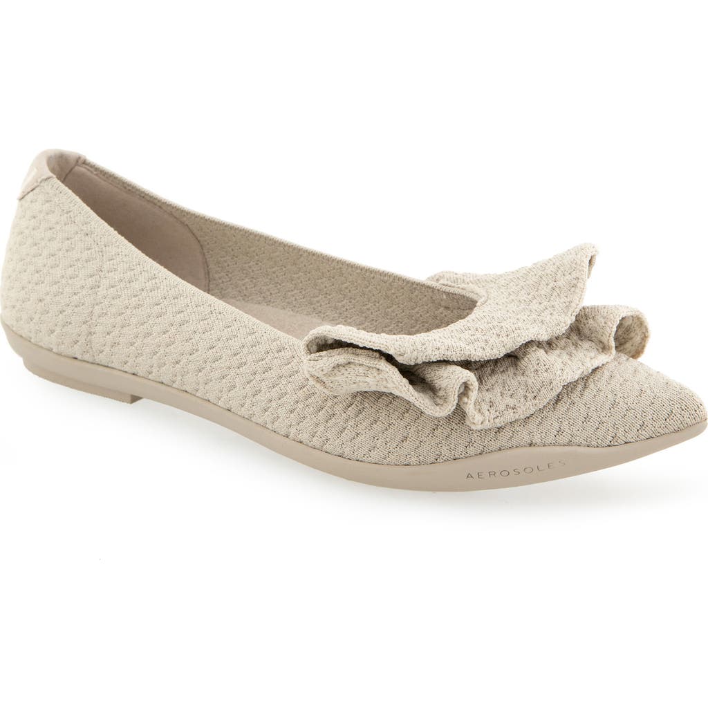 AEROSOLES AEROSOLES DAMIRA POINTED TOE FLAT