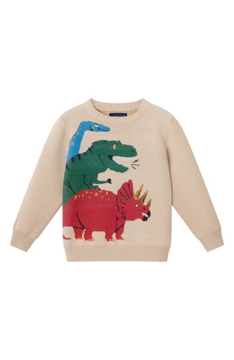 Kids' Cotton Crewneck Sweater (Toddler, Little Kid & Big Kid)