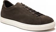 MORJAS The Sneaker 02