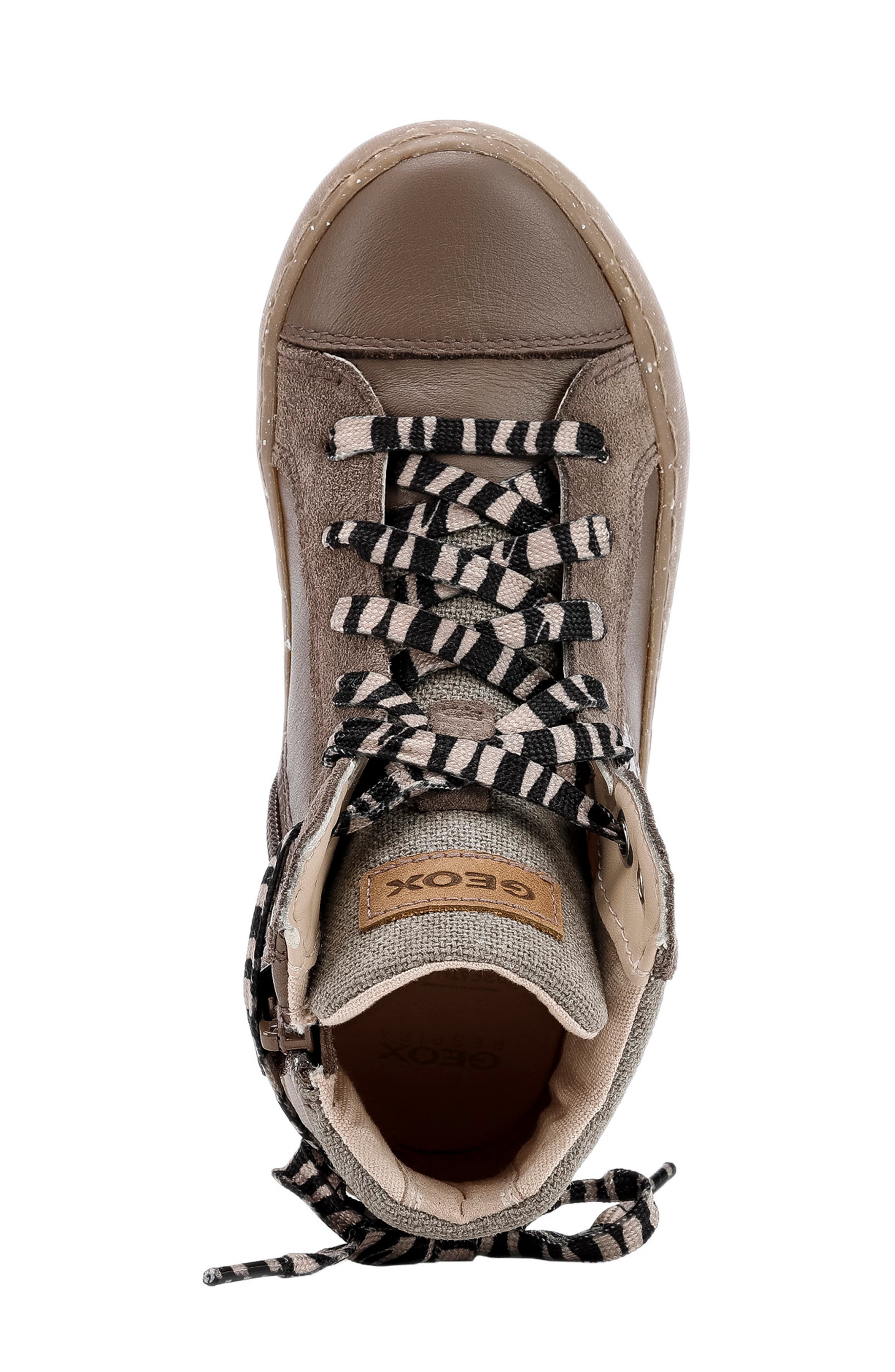 Geox x WWF Kalispera High Top Sneaker, Alternate, color, 