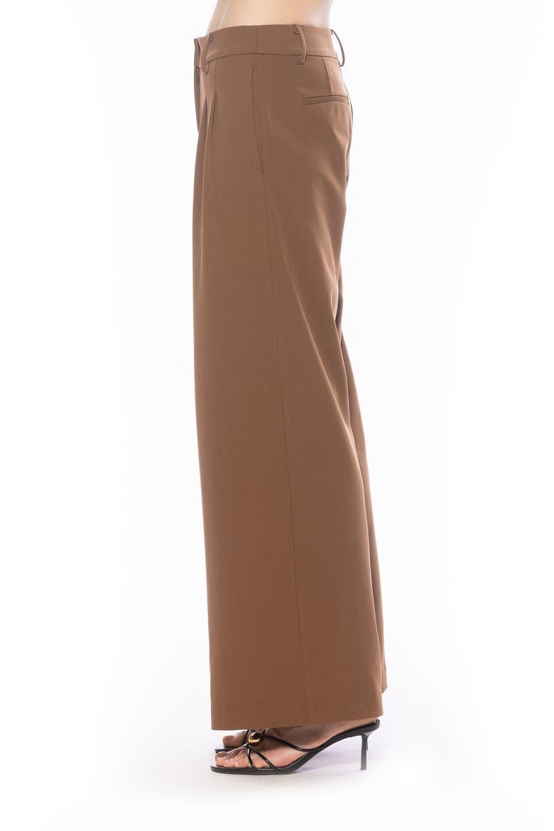 Quinn Pleated Wide Leg Pants, Alternate, color, CAMEL