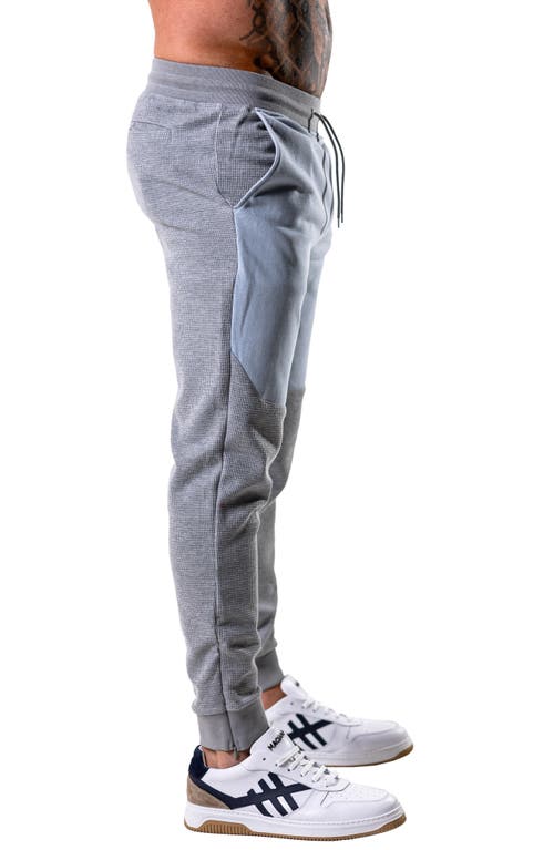 Maceoo Colorblock Joggers In Gray