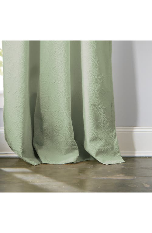 Dkny Chrysanthemum Floral Grommet Curtains In Sage