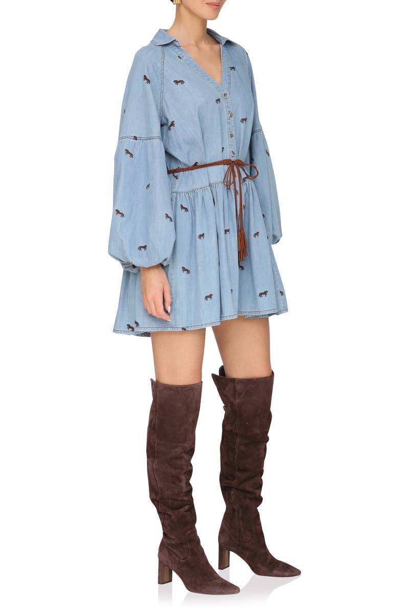 Tie Waist Long Sleeve Chambray Babydoll Dress