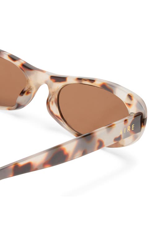Aire Avior 53mm Cat Eye Sunglasses In Cookie Tort/brown Mono